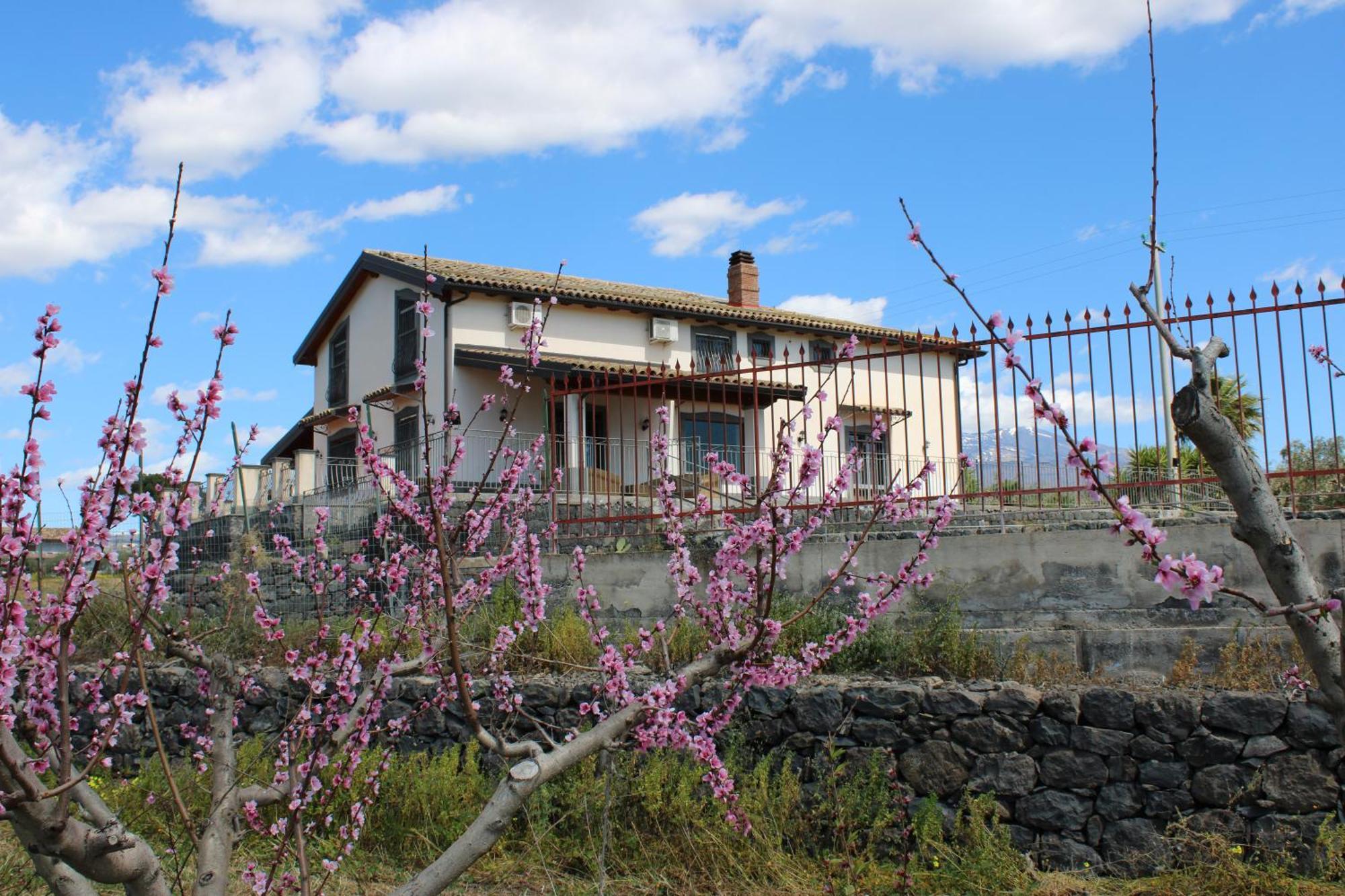Ranch Simeto Hotel Paterno  Bagian luar foto